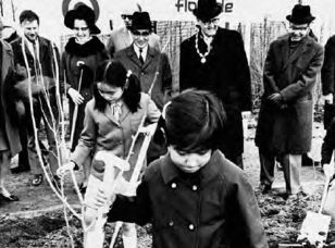 De Joodse basisschool Rosj Pina hield in 1971 een boomplantdag voor de Floriade